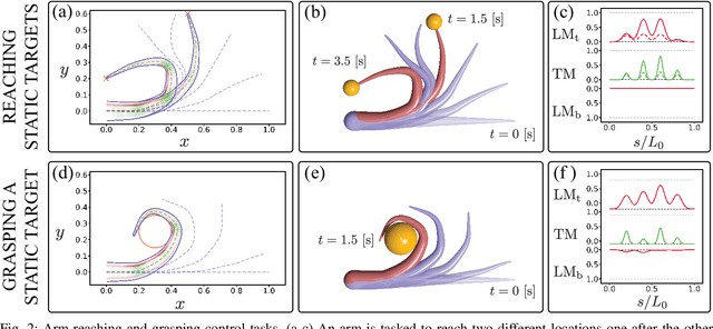 Figure 2 for Controlling a CyberOctopus Soft Arm with Muscle-like Actuation