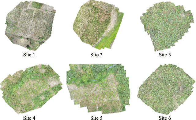 Figure 1 for ReforesTree: A Dataset for Estimating Tropical Forest Carbon Stock with Deep Learning and Aerial Imagery