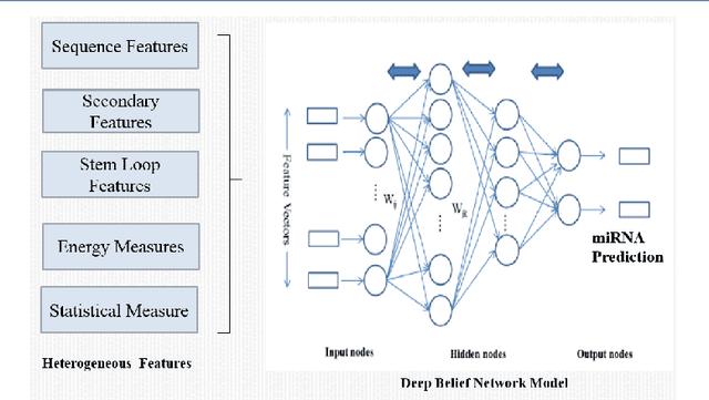 Figure 3 for Feature versus Raw Sequence: Deep Learning Comparative Study on Predicting Pre-miRNA