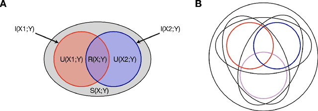 Figure 2 for Information theoretic analysis of computational models as a tool to understand the neural basis of behaviors