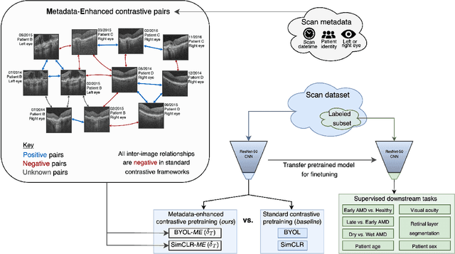 Figure 1 for Metadata-enhanced contrastive learning from retinal optical coherence tomography images