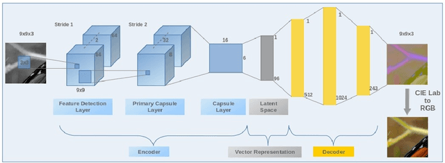 Figure 4 for Image Colorization By Capsule Networks