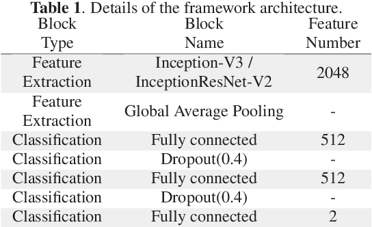 Figure 2 for End-to-End Discriminative Deep Network for Liver Lesion Classification