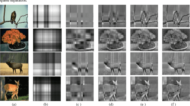 Figure 2 for Salient Region Detection and Segmentation in Images using Dynamic Mode Decomposition