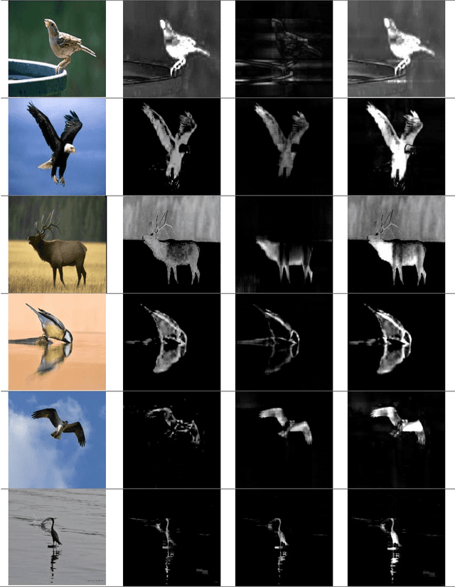 Figure 3 for Salient Region Detection and Segmentation in Images using Dynamic Mode Decomposition