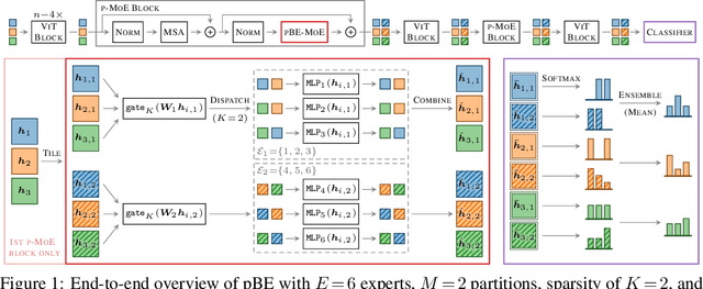Figure 1 for Sparse MoEs meet Efficient Ensembles