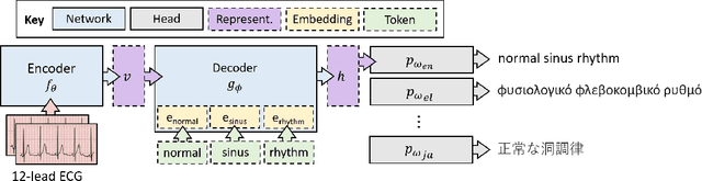 Figure 1 for Let Your Heart Speak in its Mother Tongue: Multilingual Captioning of Cardiac Signals