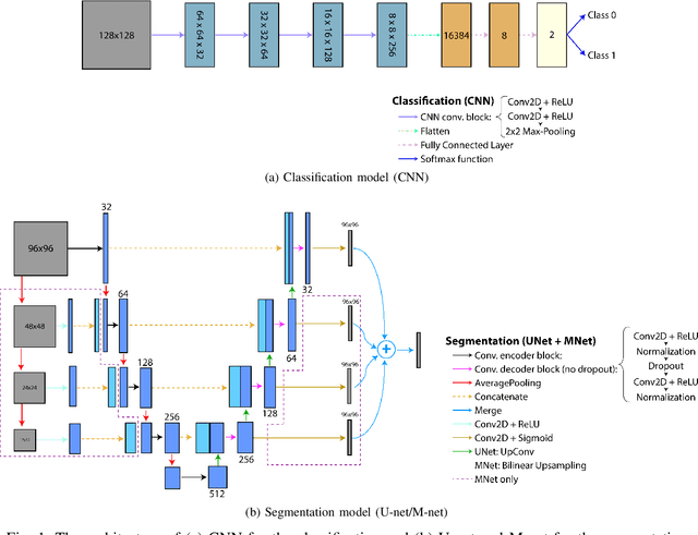 Figure 1 for Hybrid Deep Neural Network for Brachial Plexus Nerve Segmentation in Ultrasound Images