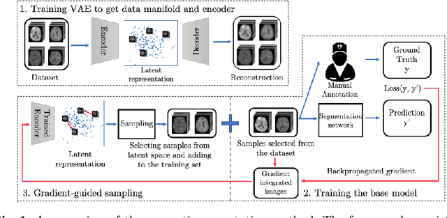 Figure 1 for Suggestive Annotation of Brain Tumour Images with Gradient-guided Sampling