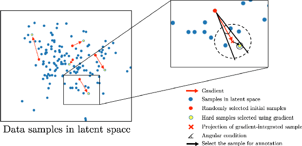Figure 2 for Suggestive Annotation of Brain Tumour Images with Gradient-guided Sampling