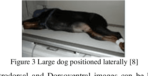 Figure 4 for Lightweight Combinational Machine Learning Algorithm for Sorting Canine Torso Radiographs
