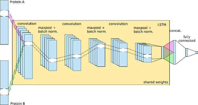 Figure 4 for Comparing two deep learning sequence-based models for protein-protein interaction prediction
