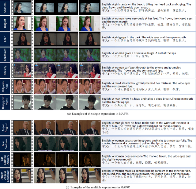 Figure 2 for MAFW: A Large-scale, Multi-modal, Compound Affective Database for Dynamic Facial Expression Recognition in the Wild