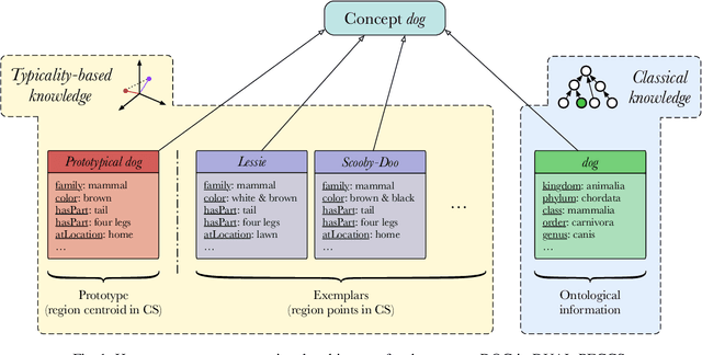 Figure 1 for Heterogeneous Proxytypes Extended: Integrating Theory-like Representations and Mechanisms with Prototypes and Exemplars