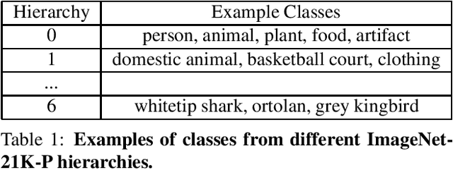 Figure 2 for ImageNet-21K Pretraining for the Masses