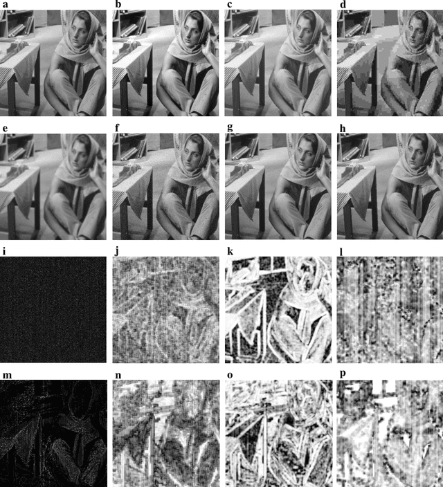Figure 3 for Quantifying Visual Image Quality: A Bayesian View