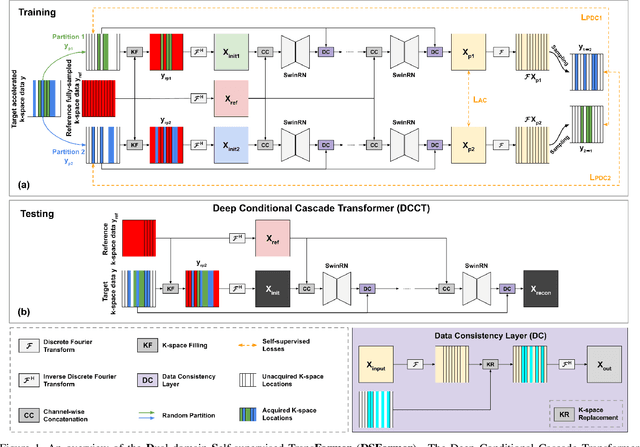 Figure 1 for DSFormer: A Dual-domain Self-supervised Transformer for Accelerated Multi-contrast MRI Reconstruction