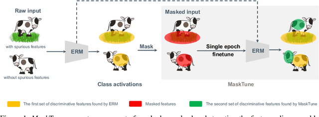 Figure 1 for MaskTune: Mitigating Spurious Correlations by Forcing to Explore