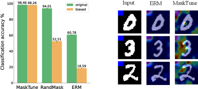 Figure 3 for MaskTune: Mitigating Spurious Correlations by Forcing to Explore
