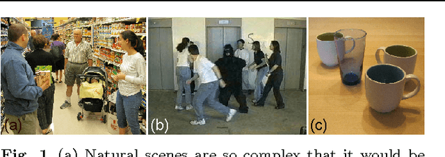 Figure 1 for Hypothesize and Bound: A Computational Focus of Attention Mechanism for Simultaneous N-D Segmentation, Pose Estimation and Classification Using Shape Priors