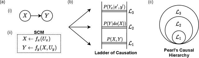 Figure 1 for Causal Multi-Agent Reinforcement Learning: Review and Open Problems