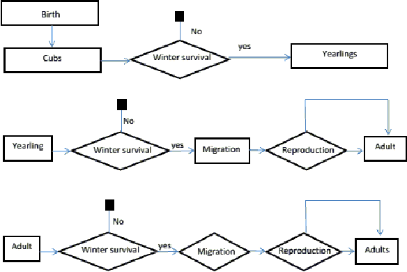 Figure 4 for An agent-based model of an endangered population of the Arctic fox from Mednyi Island