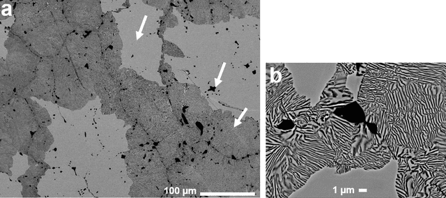 Figure 3 for An image-driven machine learning approach to kinetic modeling of a discontinuous precipitation reaction