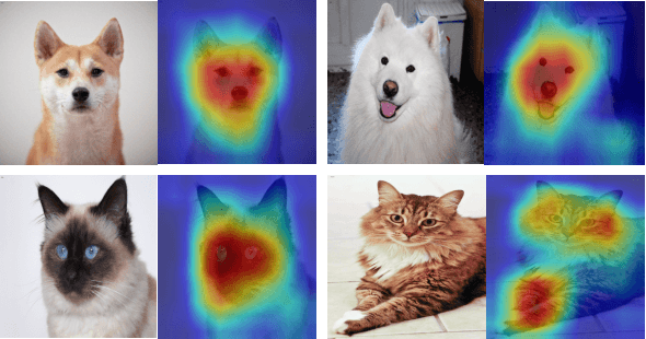 Figure 1 for Representation Learning with Fine-grained Patterns