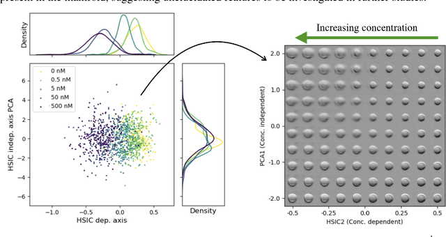 Figure 2 for Modeling the Biological Pathology Continuum with HSIC-regularized Wasserstein Auto-encoders