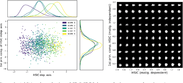 Figure 3 for Modeling the Biological Pathology Continuum with HSIC-regularized Wasserstein Auto-encoders