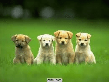 Figure 3 for SimPatch: A Nearest Neighbor Similarity Match between Image Patches