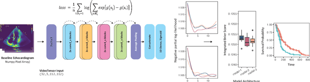 Figure 1 for Simulating time to event prediction with spatiotemporal echocardiography deep learning