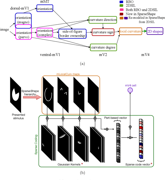 Figure 2 for Learning a model of shape selectivity in V4 cells reveals shape encoding mechanisms in the brain