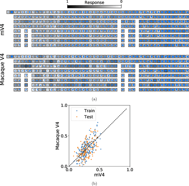 Figure 3 for Learning a model of shape selectivity in V4 cells reveals shape encoding mechanisms in the brain