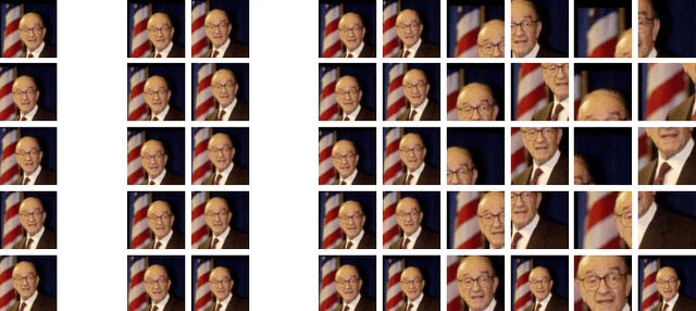 Figure 1 for Strengths and Weaknesses of Deep Learning Models for Face Recognition Against Image Degradations