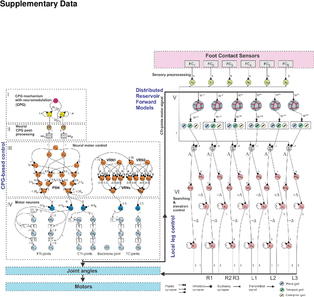 Figure 2 for Distributed Recurrent Neural Forward Models with Synaptic Adaptation for Complex Behaviors of Walking Robots