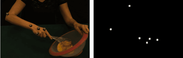 Figure 1 for Action similarity judgment based on kinematic primitives