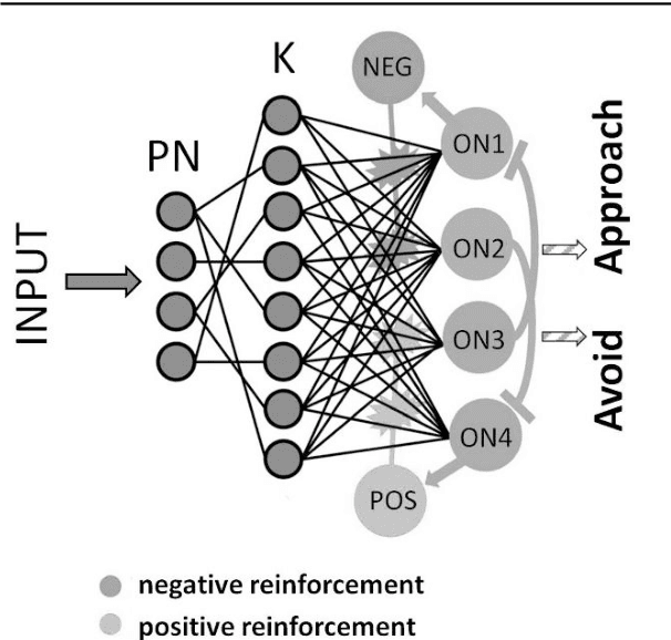 Figure 4 for From Biological Synapses to Intelligent Robots