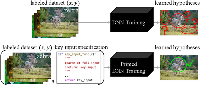 Figure 1 for Fighting Fire with Fire: Avoiding DNN Shortcuts through Priming