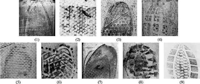 Figure 2 for Bias and Fairness in Computer Vision Applications of the Criminal Justice System