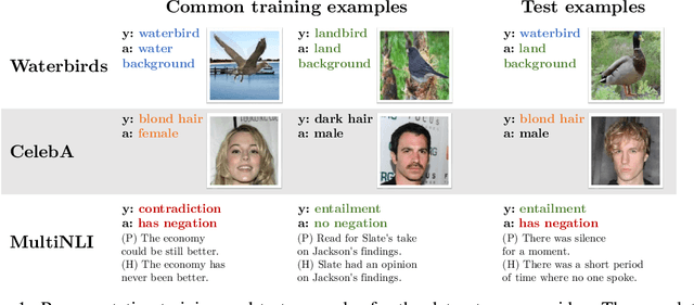 Figure 1 for Distributionally Robust Neural Networks for Group Shifts: On the Importance of Regularization for Worst-Case Generalization