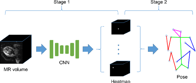 Figure 3 for Fetal Pose Estimation in Volumetric MRI using a 3D Convolution Neural Network
