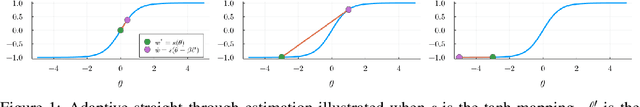 Figure 1 for AdaSTE: An Adaptive Straight-Through Estimator to Train Binary Neural Networks
