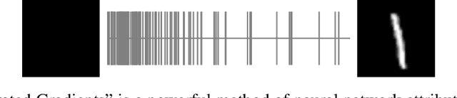 Figure 3 for Computing Linear Restrictions of Neural Networks