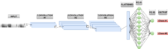 Figure 1 for From Interpretable Filters to Predictions of Convolutional Neural Networks with Explainable Artificial Intelligence