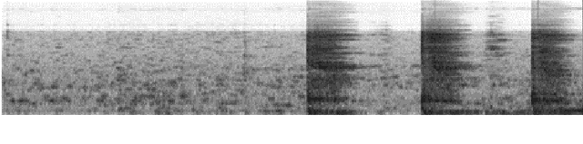 Figure 4 for From Interpretable Filters to Predictions of Convolutional Neural Networks with Explainable Artificial Intelligence