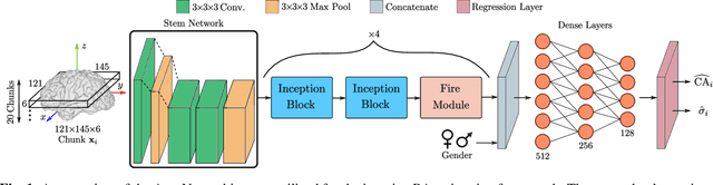 Figure 1 for Uncertainty-Based Biological Age Estimation of Brain MRI Scans