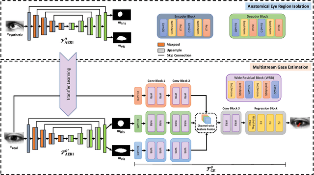 Figure 3 for Multistream Gaze Estimation with Anatomical Eye Region Isolation by Synthetic to Real Transfer Learning