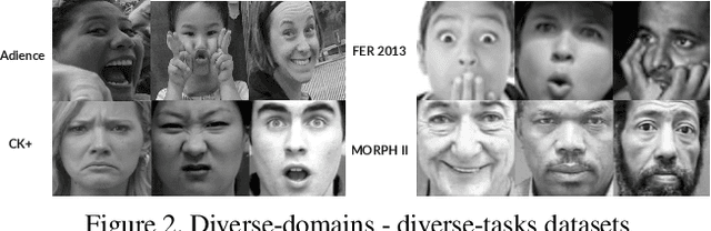 Figure 3 for Distill-2MD-MTL: Data Distillation based on Multi-Dataset Multi-Domain Multi-Task Frame Work to Solve Face Related Tasksks, Multi Task Learning, Semi-Supervised Learning