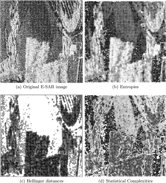 Figure 1 for Generalized Statistical Complexity of SAR Imagery